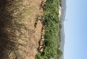 Banyeres del Penedès 55000&nbsp;m²