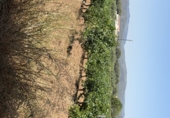 Terreno no urbanizable en venta en Banyeres del Penedès ref: TR415350 foto