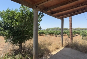 Banyeres del Penedès 55000&nbsp;m²