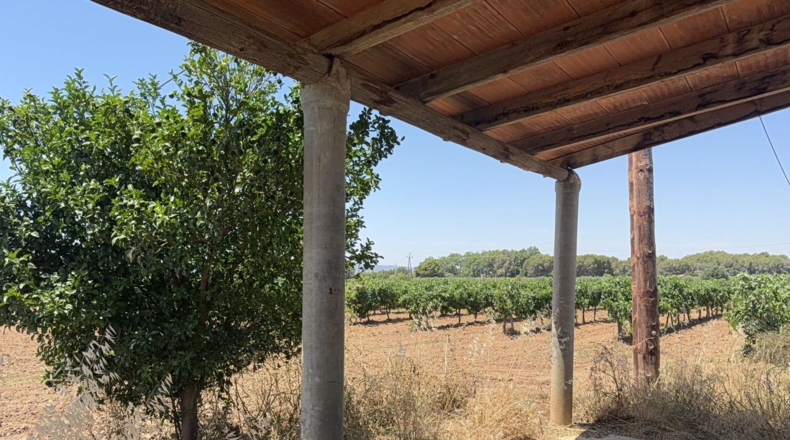 Tarragona - Banyeres del Penedès - 55000m2
