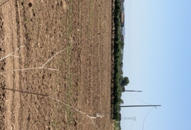 Banyeres del Penedès 55000&nbsp;m²