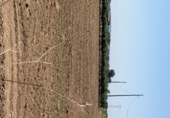 Terreno no urbanizable en venta en Banyeres del Penedès ref: TR415350 foto