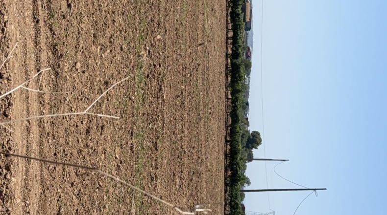 Tarragona - Banyeres del Penedès - 55000m2