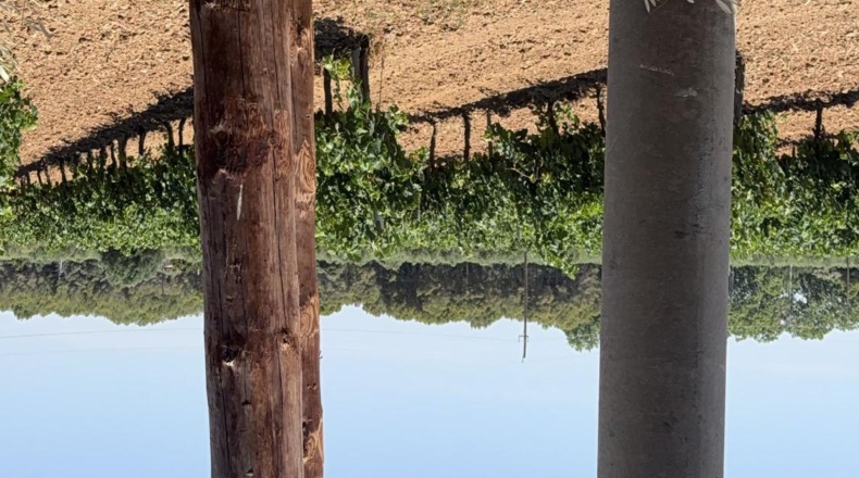 Tarragona - Banyeres del Penedès - 55000m2