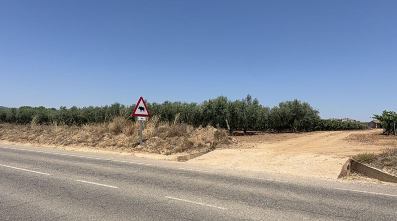 Tarragona - Banyeres del Penedès - 55000m2