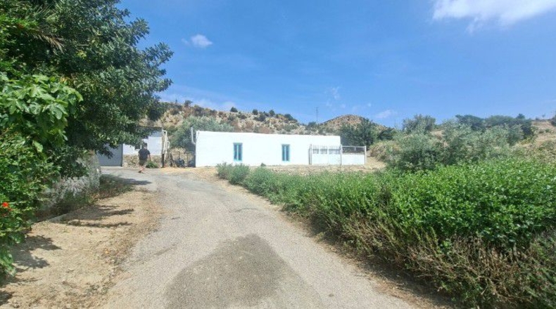 Almería - Arboleas - 2262m2