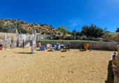 Casa de campo con terreno en venta en Arboleas ref: TR415357 foto