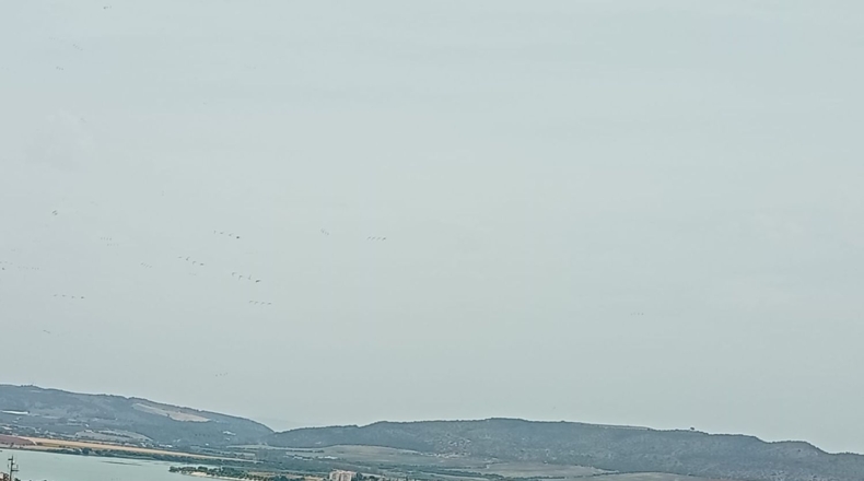 Cádiz - Arcos de la Frontera - 95m2
