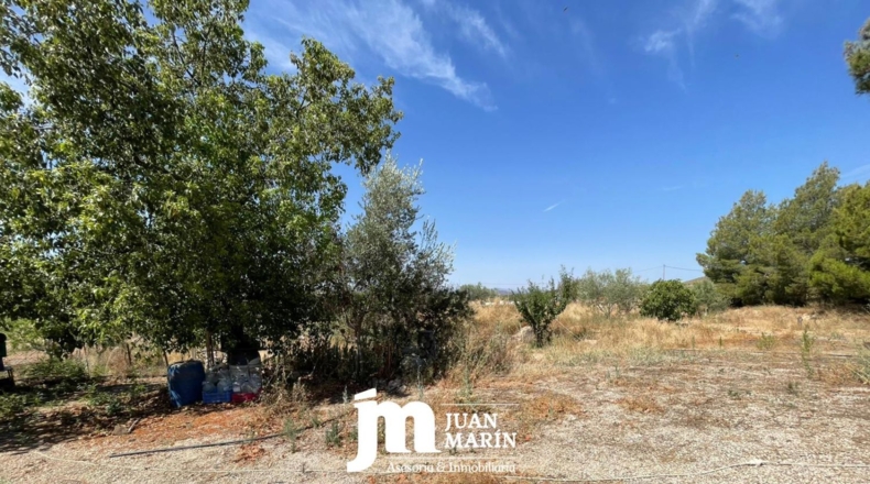 Murcia - Ricote - 7000m2