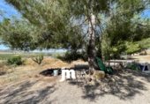 Casa de campo con terreno en venta en Ricote ref: TR415366 foto