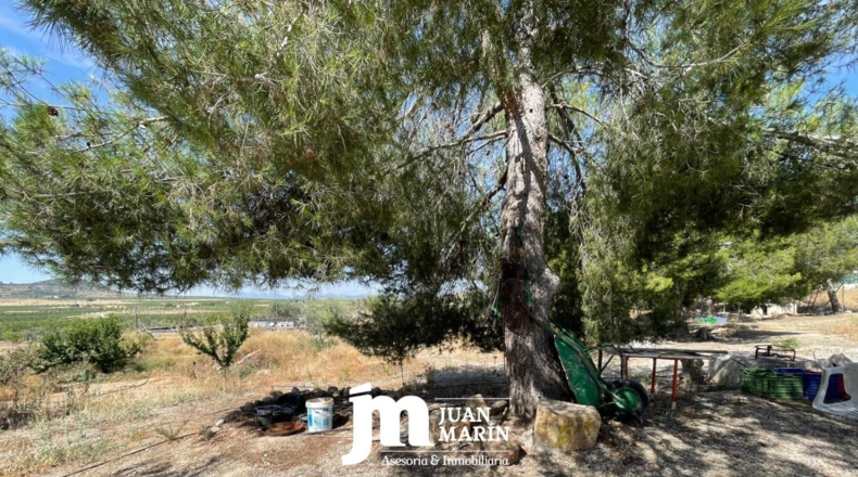 Murcia - Ricote - 7000m2