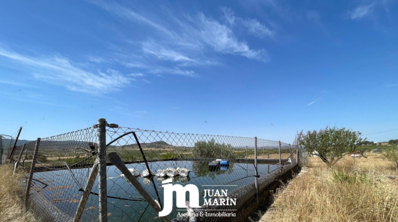 Murcia - Ricote - 7000m2