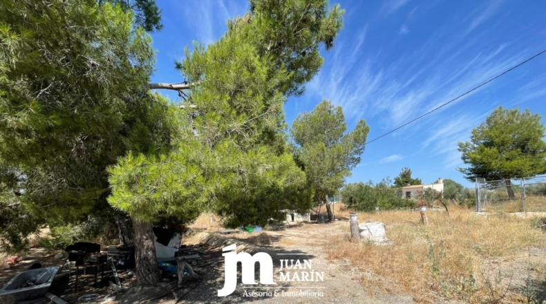 Murcia - Ricote - 7000m2