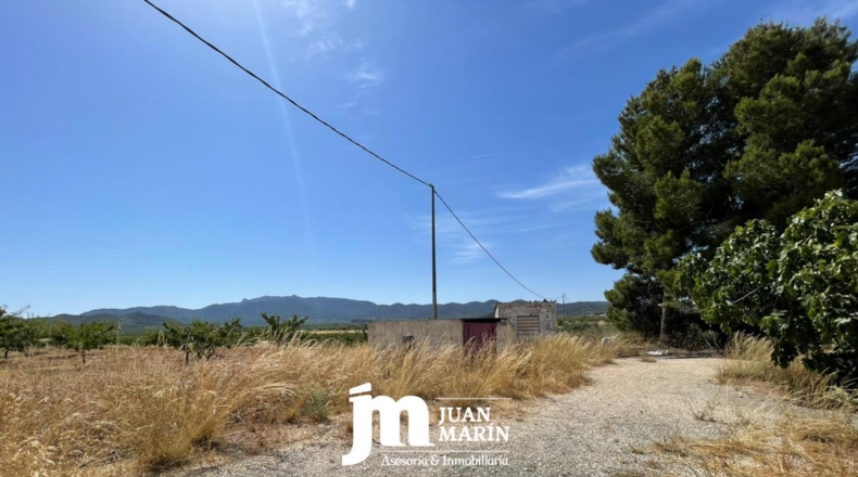 Murcia - Ricote - 7000m2