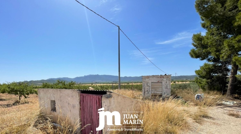 Murcia - Ricote - 7000m2