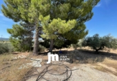 Casa de campo con terreno en venta en Ricote ref: TR415366 foto