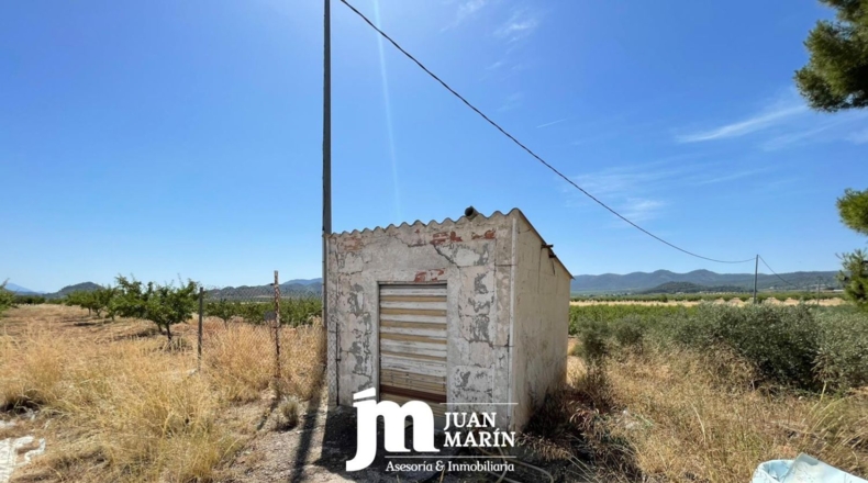 Murcia - Ricote - 7000m2