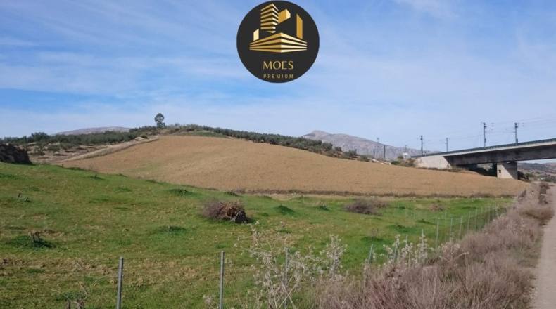 Málaga - Álora - 18700m2