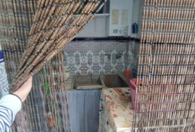 Foto 19