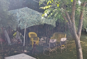 Foto 13
