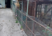 Finca rústica en venta en la España, Ponferrada, ref: TR415376 foto