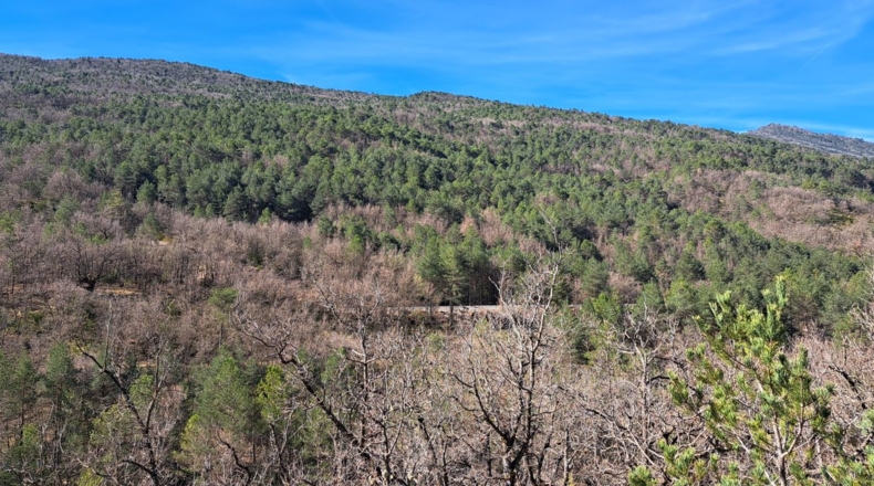 Huesca - Caldearenas - 2186053m2