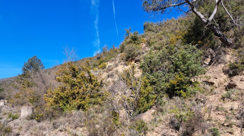 Huesca - Caldearenas - 2186053m2