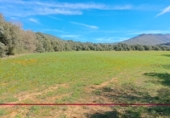 Terreno no urbanizable en venta en Caldearenas ref: TR415377 foto