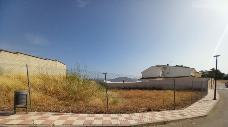 Jaén - La Carolina - 620m2