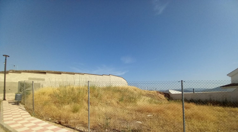 Jaén - La Carolina - 620m2