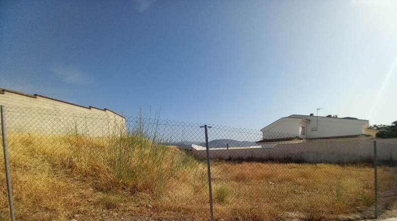 Jaén - La Carolina - 620m2