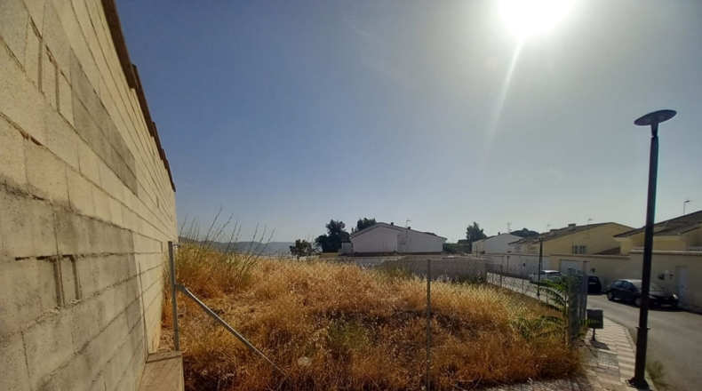 Jaén - La Carolina - 620m2