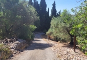 Finca rústica en venta en Tortosa ref: TR415379 foto