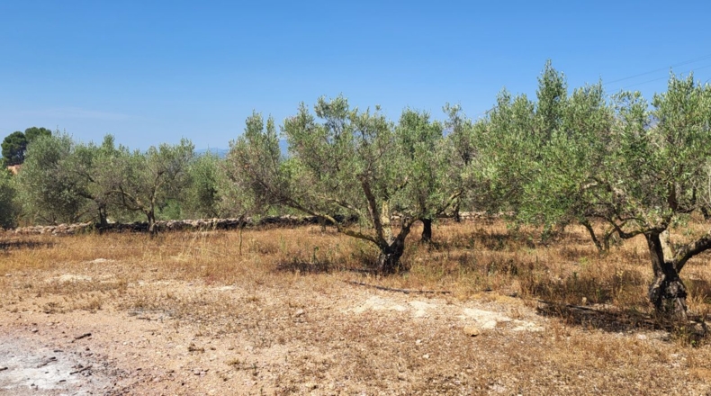Tarragona - Tortosa - 26322m2