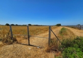 Non-developable land for sale in Chiclana de la Frontera ref: TR415382 photo