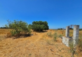 Non-developable land for sale in Chiclana de la Frontera ref: TR415382 photo