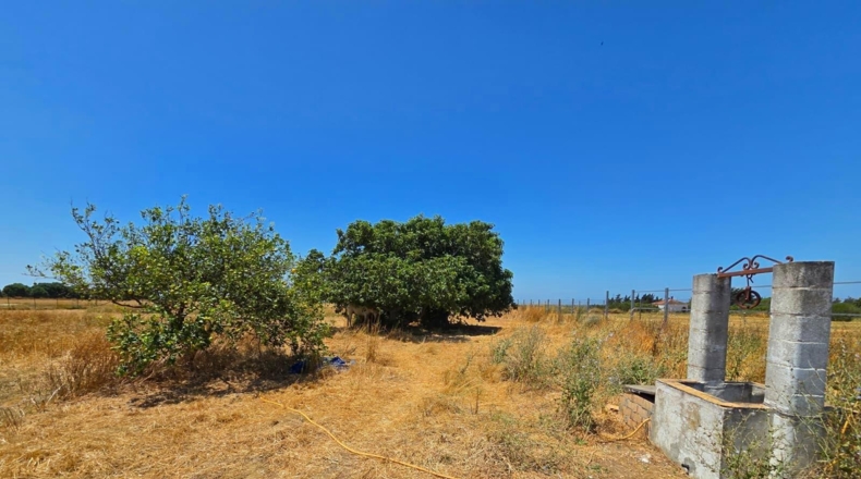 Cádiz - Chiclana de la Frontera - 8201m2
