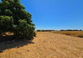 Non-developable land for sale in Chiclana de la Frontera ref: TR415382 photo