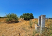 Non-developable land for sale in Chiclana de la Frontera ref: TR415382 photo