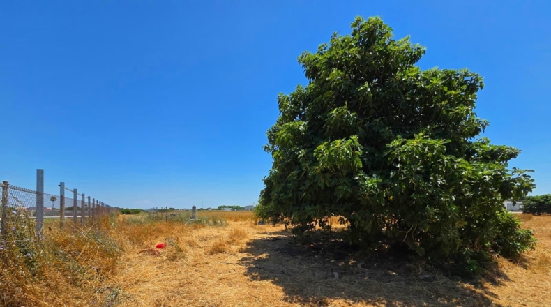 Cádiz - Chiclana de la Frontera - 8201m2