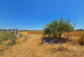 Foto 16
