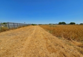 Non-developable land for sale in Chiclana de la Frontera ref: TR415382 photo