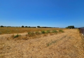 Non-developable land for sale in Chiclana de la Frontera ref: TR415384 photo