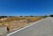 Non-developable land for sale in Chiclana de la Frontera ref: TR415384 photo