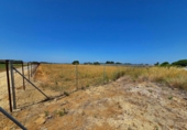 Non-developable land for sale in Chiclana de la Frontera ref: TR415384 photo
