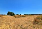 Non-developable land for sale in Chiclana de la Frontera ref: TR415384 photo