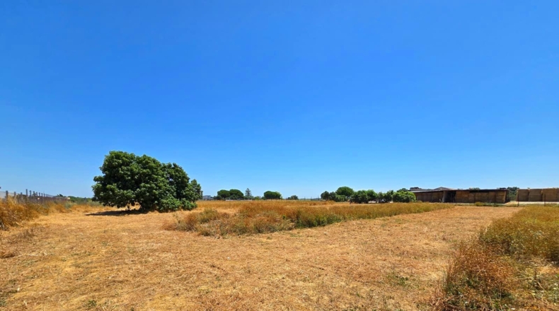 Cádiz - Chiclana de la Frontera - 8201m2