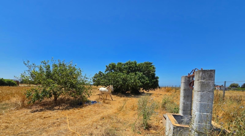 Cádiz - Chiclana de la Frontera - 8201m2