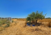 Non-developable land for sale in Chiclana de la Frontera ref: TR415384 photo