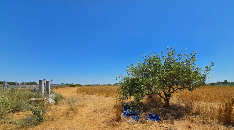 Cádiz - Chiclana de la Frontera - 8201m2
